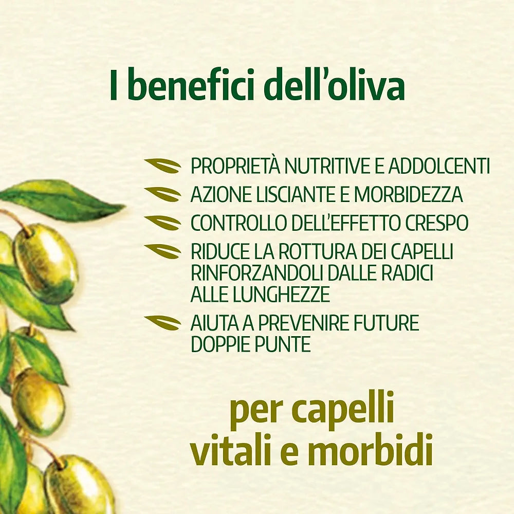 Antica Erboristeria Sampon Antica Erboristeria Softness Masline Mediterane, Sampon pentru par uscat, cu ingrediente naturale